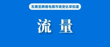 已有卖家获益！拥有3.32亿的Youtube真能成为东南亚卖家的流量密码？