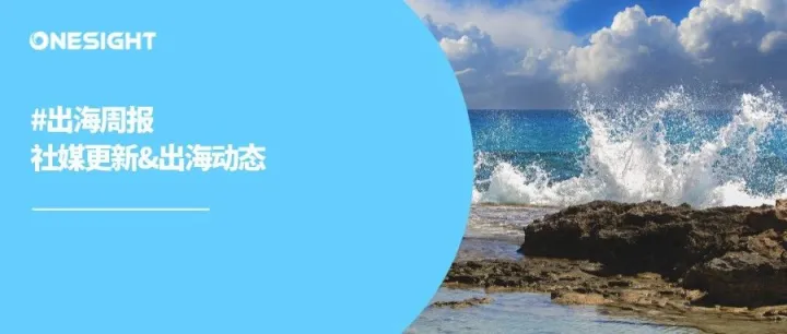 出海周报｜Reddit也出短视频，SHEIN、Temu北美纠纷