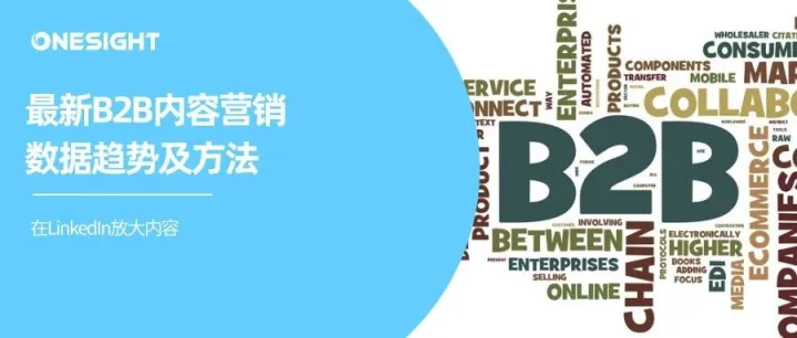 B2B内容放大报告：提升影响力与销售转化