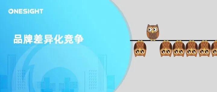 与众不同：出海品牌利用海外社媒实现差异化的三条路径