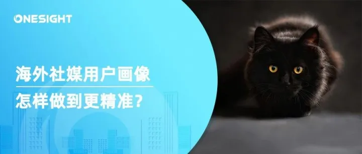 海外社媒用户画像，怎样做到更精准？