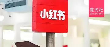 赢麻了!小红书,一夜出海