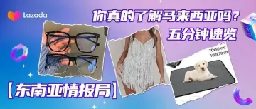 东南亚情报局|你真的了解马来西亚吗?五分钟速览