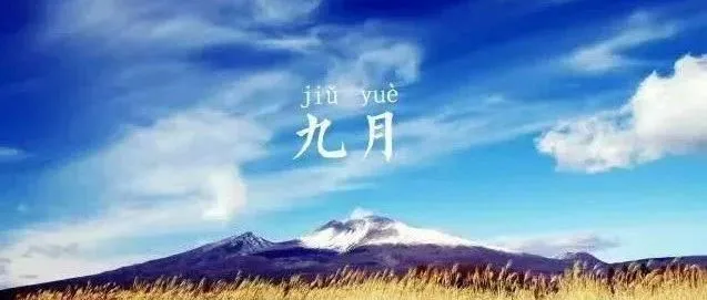 拼多多跨境如期上线，而我的账号还没有审核通过