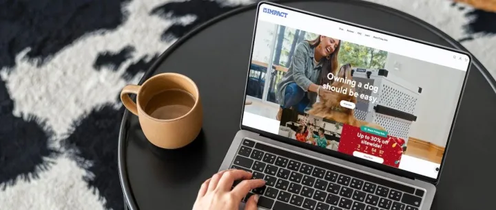 品牌出海：如何打造吸引欧美用户的跨境电商独立站？