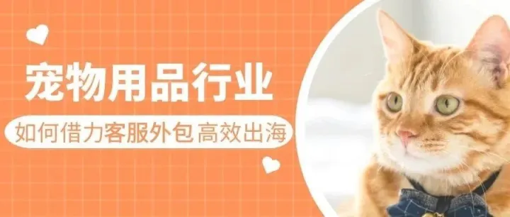 宠物用品行业如何借力客服外包高效出海