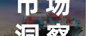 选品洞察 | 2025年亚马逊欧美厨房热销类目来了!