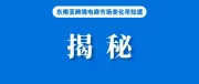 别错过！新加坡电商规模中平台、流量、品类隐藏的暴富玄机～