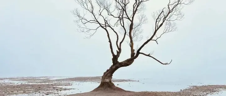 一文看懂中免如何做私域｜会员数从2400万到3300万 形成“免税+跨境+有税”的购物服务平台