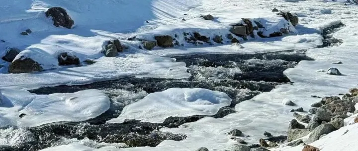 前11个月海南外贸进出口增长20.5%，免税品下降35.1%