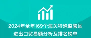 2024年全年169个海关特殊监管区(综保区等)进出口贸易额分析及排名榜单
