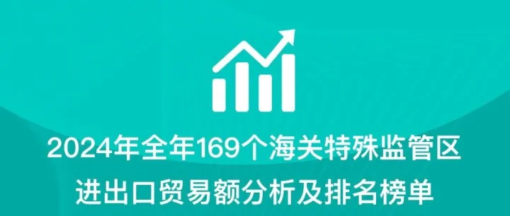 2024年全年169个海关特殊监管区(综保区等)进出口贸易额分析及排名榜单