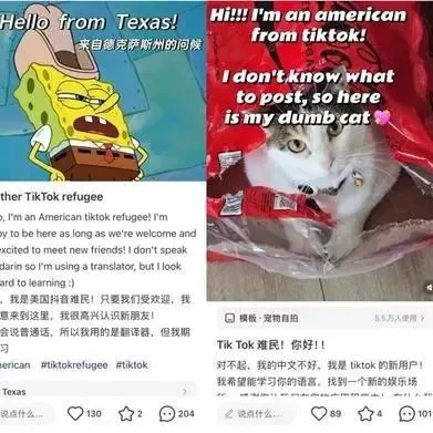 小红书登顶87国App Store 实时翻译功能在开发了