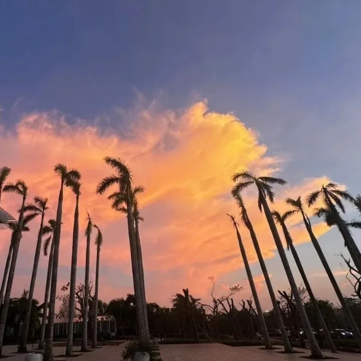 行业动态|海南外贸进出口增长21.2%，自贸港建设引领新飞跃！