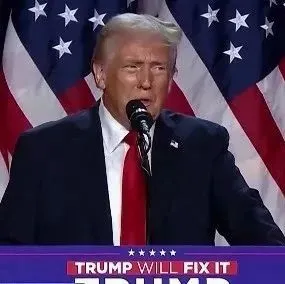 刚刚，特朗普最新发声：将履行竞选承诺，加征关税！美国进口商开始囤货！！