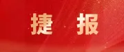 235亿美元！越海领跑深圳进出口，物流供应链服务行业是“中流砥柱”