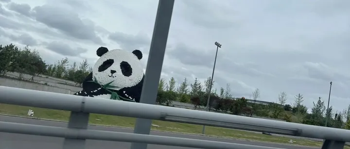 一年亏损4.85亿｜出口跨境电商铺货模式终结 品牌化才是出路