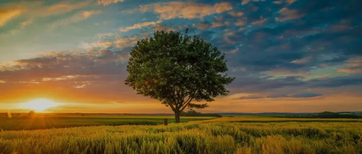 突发！中免人事再变动