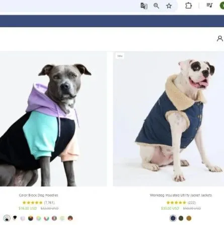 年入千万美金！ 小众宠物用品在海外爆火出圈！