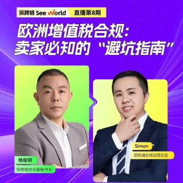 欧洲增值税合规:卖家必知的“避坑指南”