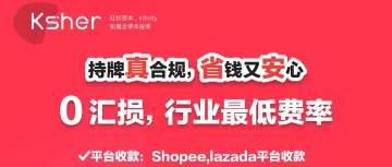 5分钟教您如何解决本土卖家跨境收款难题？