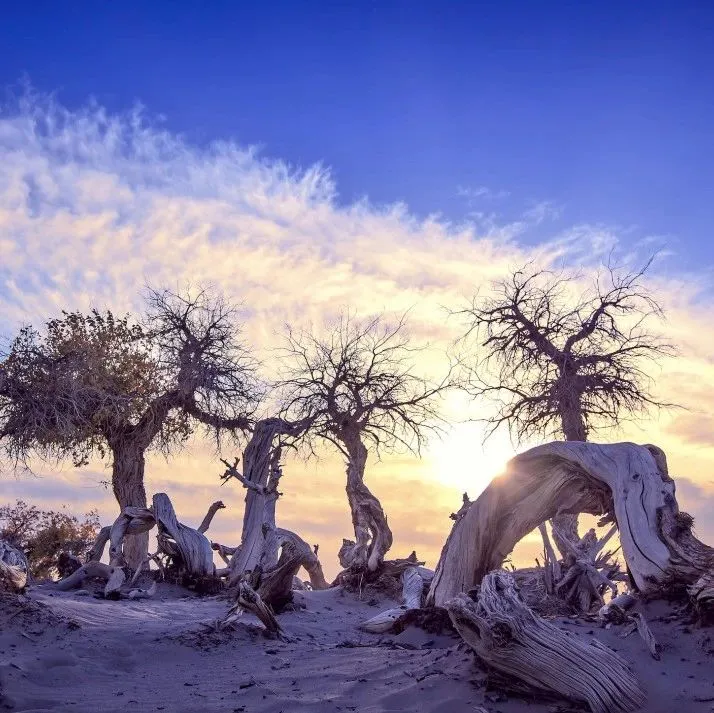 上半年餐饮到底有多惨？我们与一些从业者聊了聊