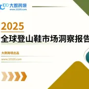 大数独家 |《2025全球登山鞋市场洞察报告》解读：选对装备才能攀登新高峰，户外市场潜力无限！