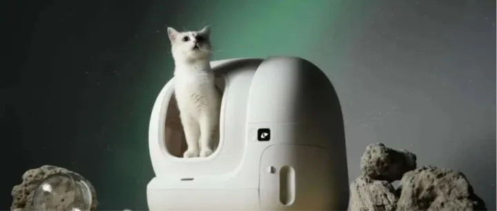 3天卖出20万美元！宠物市场一路狂飙，普通人入局如何突出重围？