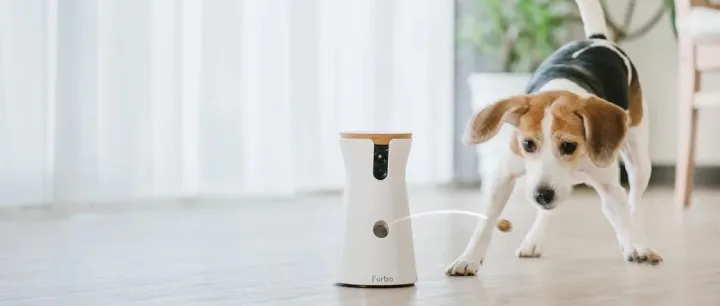 月销2.4万台，又一小众品类征服海外宠物主