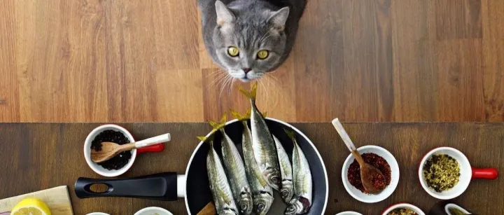 春节随笔--由“亚马逊回款率”引发的思考