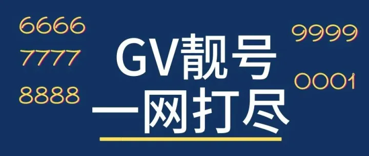 【新手0-1】如何获得一个GV靓号？