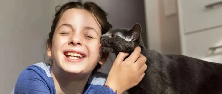 全年营收近45亿美元，希尔思披露24年财务数据