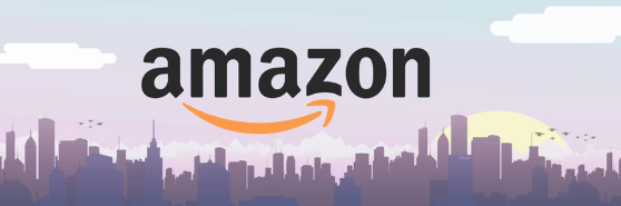 全球零售商Top20丨亚马逊Amazon_大数跨境｜跨境从业者专属的媒体平台