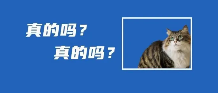 线下沙龙约起来！