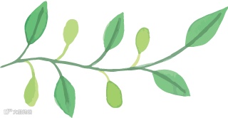 电子商务法相关内容