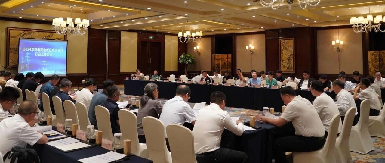 2024年中国机电商会低压电器分会行业工作会议暨第二届六次理事(扩大)会议在温州成功召开_大数跨境|跨境从业者专属的媒体平台