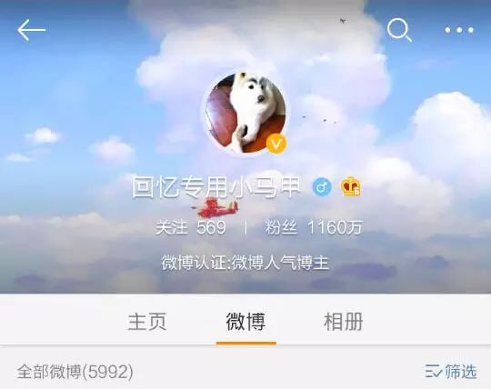 八一八那些网红段子狗(宠物狗,真狗)_大数跨境|跨境从业者专属的媒体平台