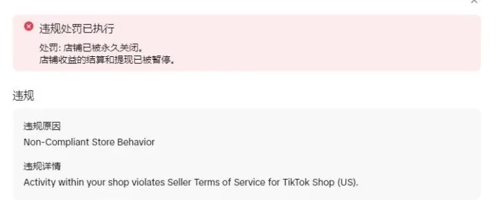 TikTok封店潮又来了？卖家如何避免“出单即封店”