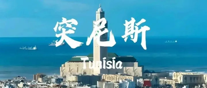 外贸知识清单和开发攻略--突尼斯