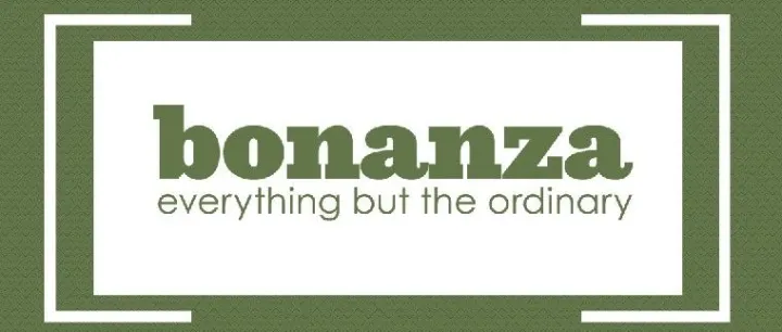 Bonanza-美国蓝海平台，日访问量超15万次，中小卖家优选
