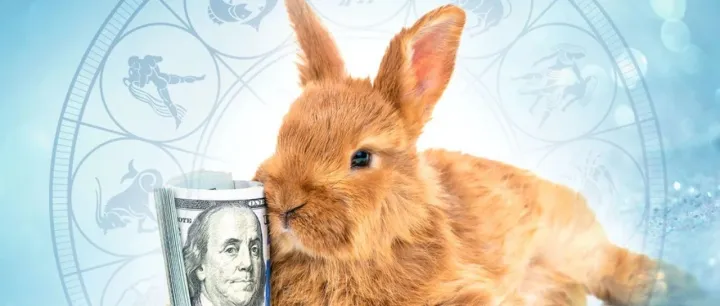 复活节选品都是坑！小心“兔子”吃掉你的利润