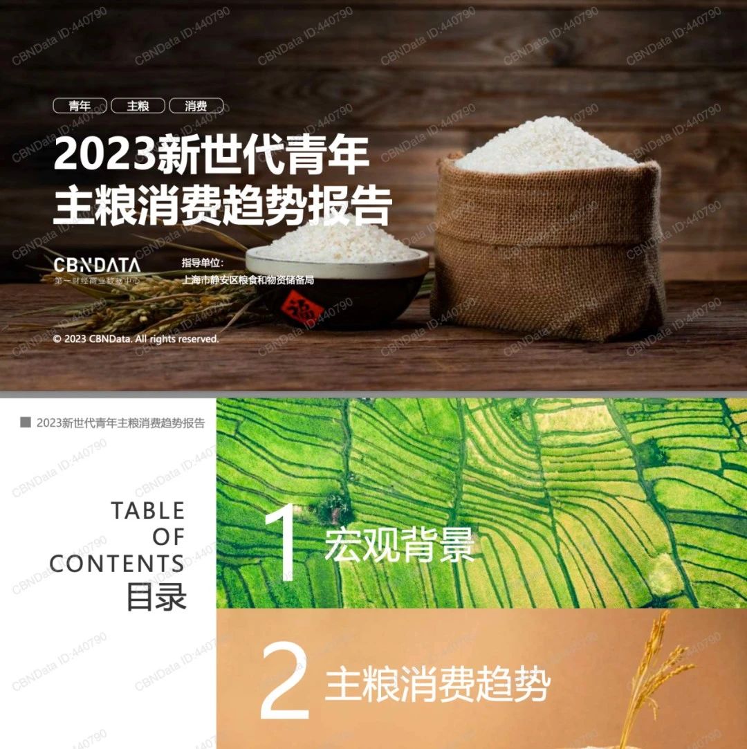 2023新世代青年主粮消费趋势报告(附下载)_大数跨境|跨境从业者专属的媒体平台