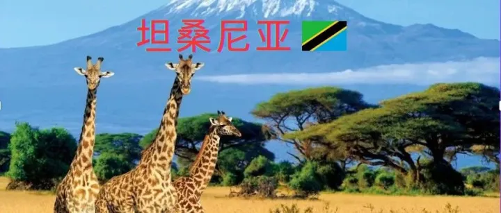 2025坦桑尼亚市场知识清单和开发攻略