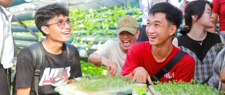 "垃圾"变"黄金"：这群年轻人靠回收丑蔬菜，年入百万！