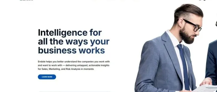 2025外贸人找客户新方法——endole（可背调）