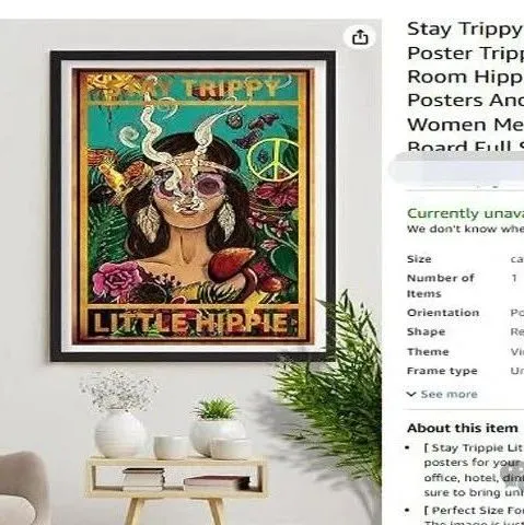 25-cv-02825，Hippie嬉皮女孩版权再维权！当心TRO冻结