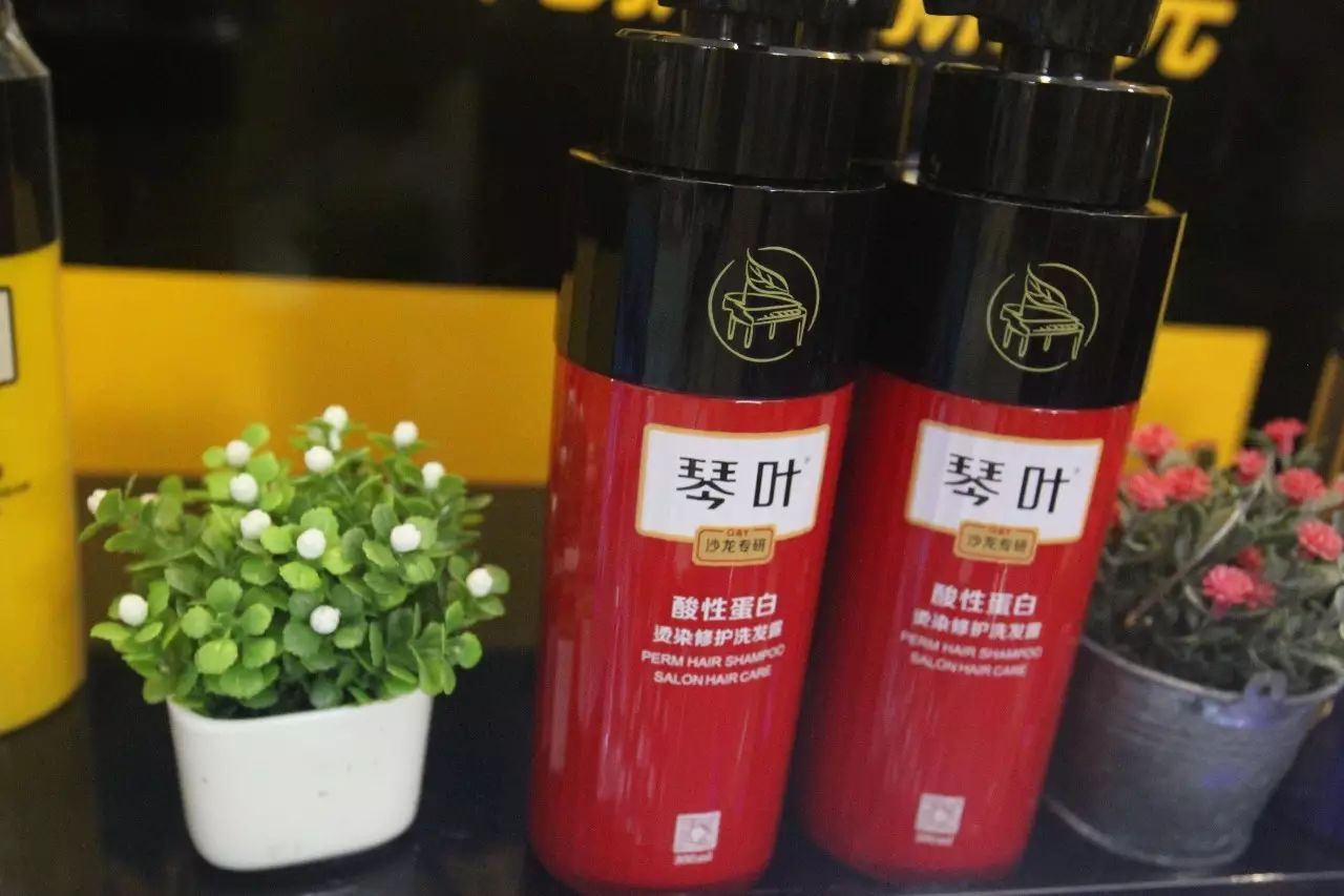 琴叶开启新时代,让“洗护”成为最好品类- 大数跨境
