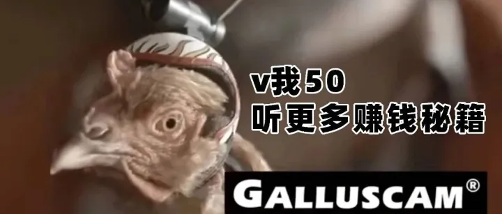 一些“离谱”，但很赚钱的出海商机