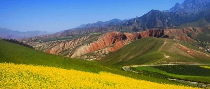 1688新手必读丨账户开通、平台规则、店铺搭建、流量获取、运营流程等核心指南！