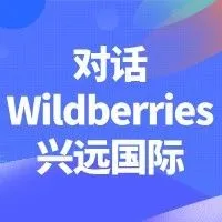 Wildberries&易境通&兴远国际：Wildberries抢滩万亿新蓝海，海外仓重构中俄跨境新生态